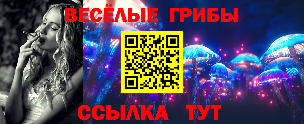 Псилоцибиновые грибы мухоморы Куйбышев