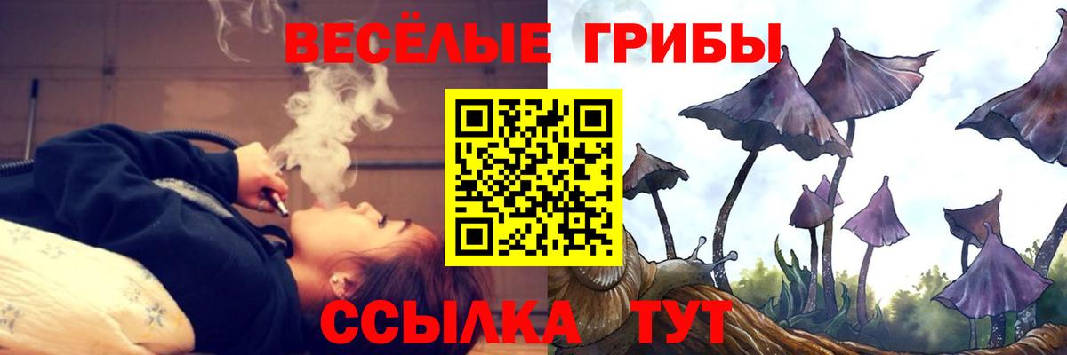 Галлюциногенные грибы ЛСД  Вход с VPN  Галлюциногенные грибы Cubensis  Куйбышев 